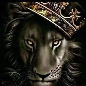 Meet your Posher, Wayne